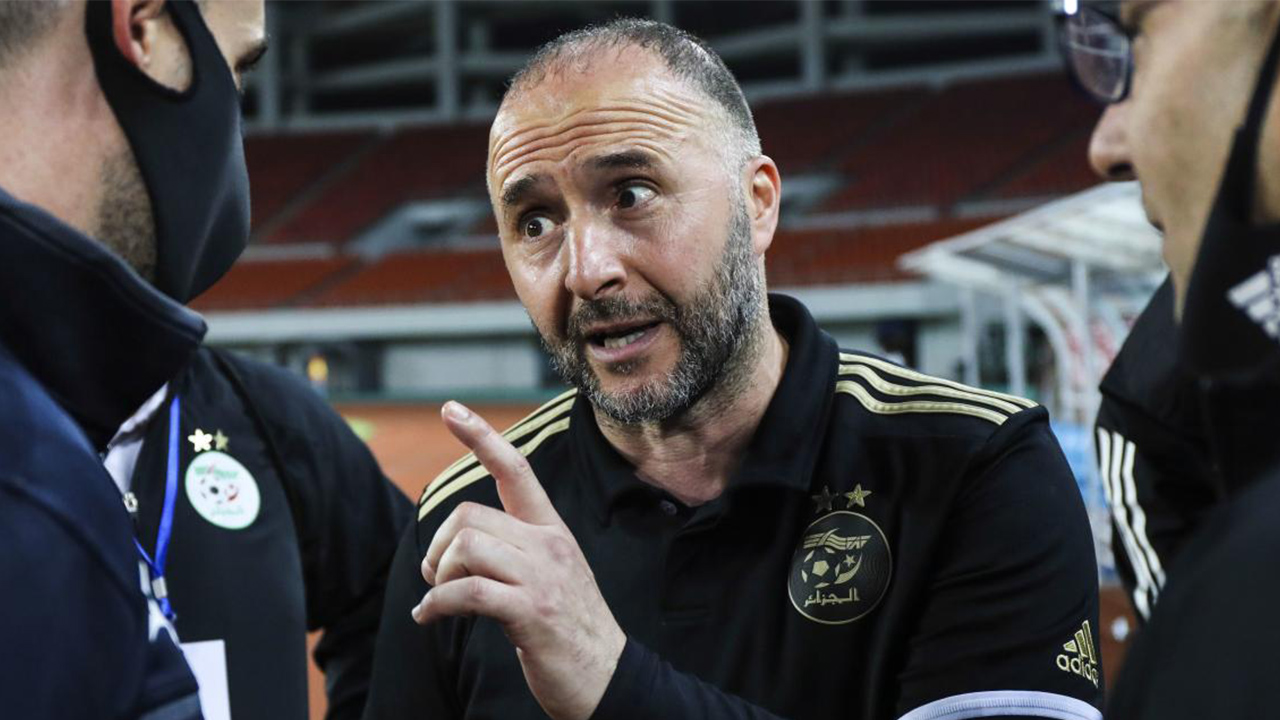 Djamel Belmadi, sélectionneur de l'Algérie