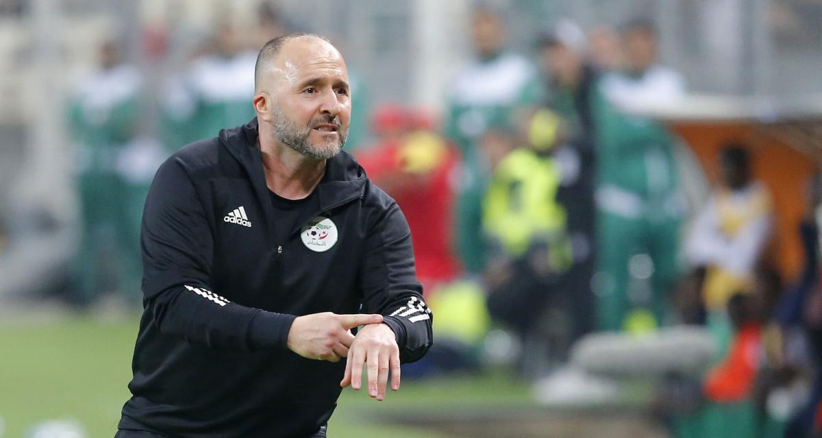 Djamel Belmadi, entraîneur de l'équipe nationale d'Algérie