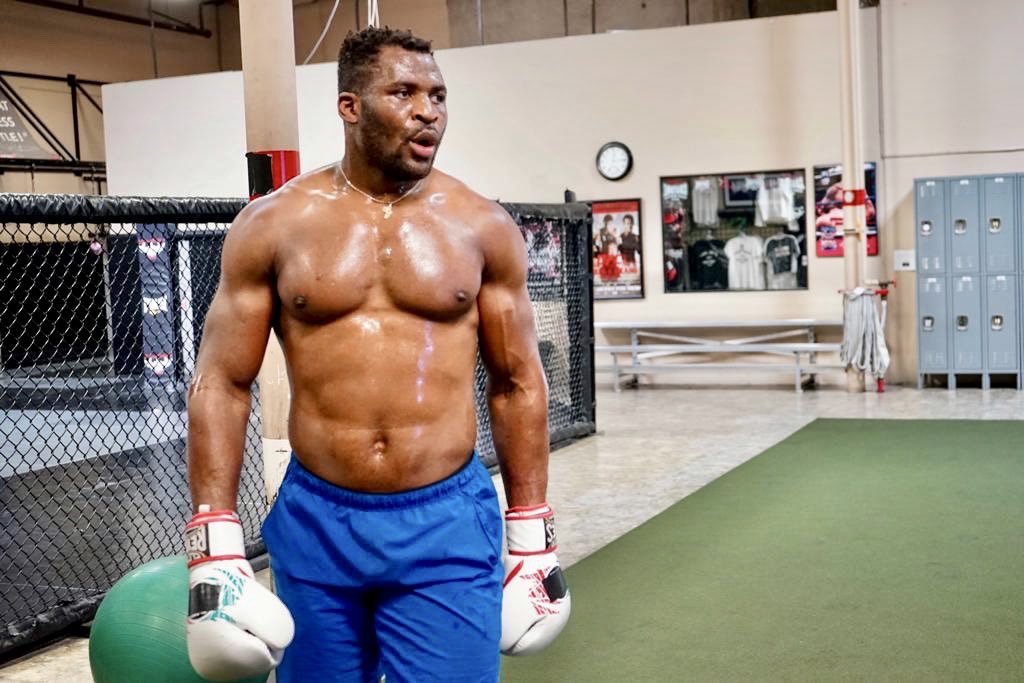 Francis Ngannou et Anthony Joshua se font face lors d'une conférence de presse