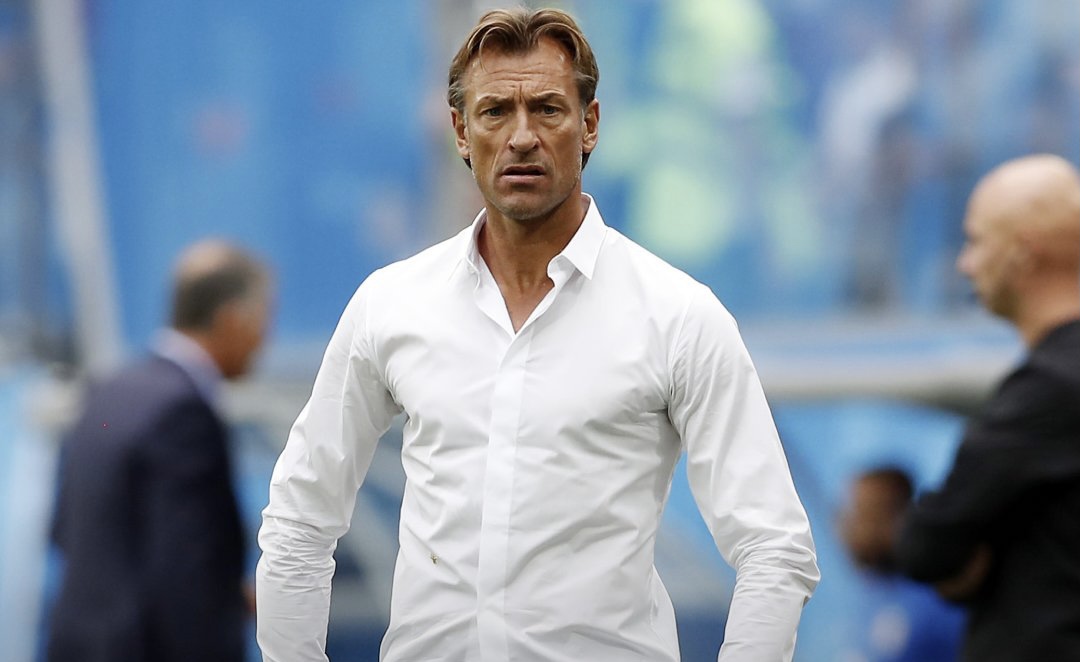 Hervé Renard - coach sought after by Nigeria, Morocco, and Cameroon