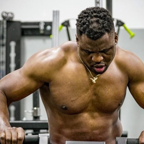 Francis Ngannou : de la cage à l’anneau, sa transition vers la boxe