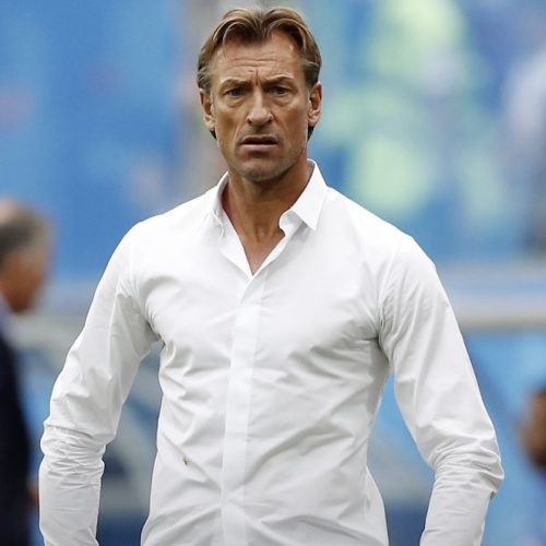 Hervé Renard sought after by Nigeria, Morocco, and Cameroon