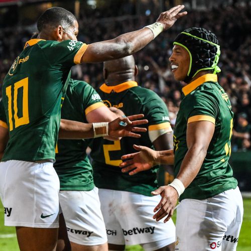 Les Springboks face au Pays de Galles et à l’Irlande lors de matchs amicaux